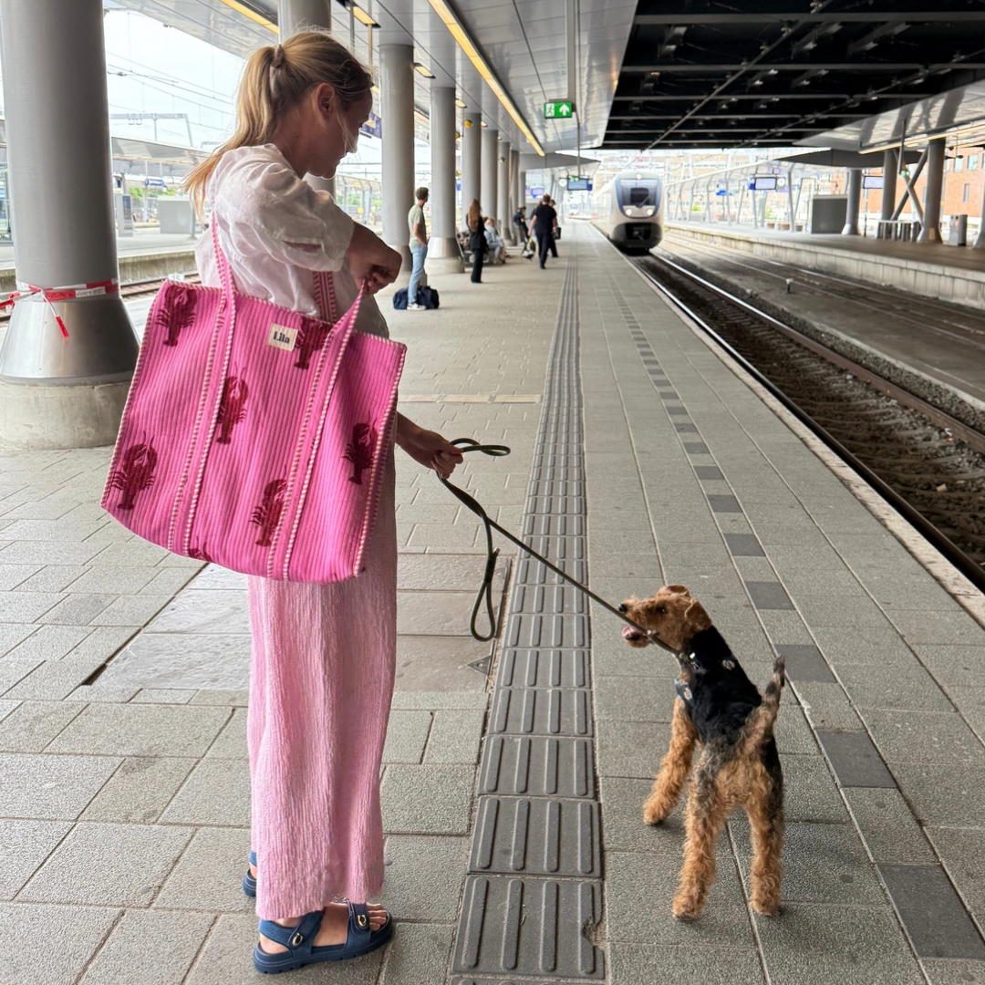 Tragetasche – Hummer – Reißverschluss – Nr. 2